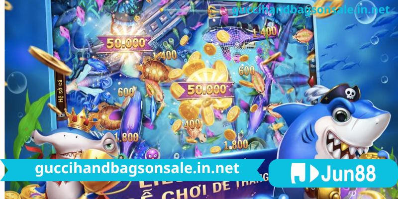 Cài đặt nhanh chóng và bắt đầu hành trình săn cá ngay sau vài phút